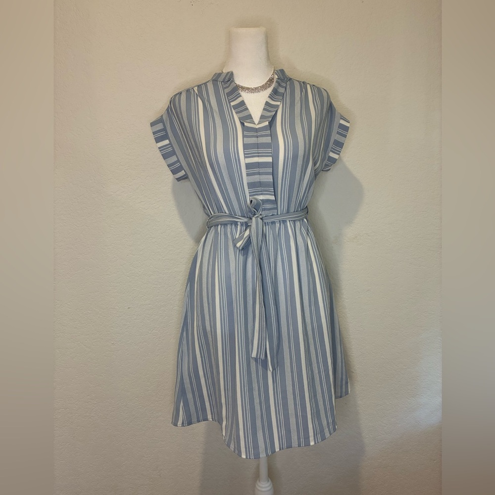 Monteau Blue and White Striped Mini Dress